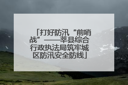 打好防汛“前哨战”——莘县综合行政执法局筑牢城区防汛安全防线