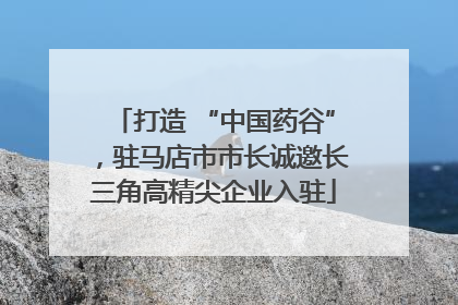 打造 “中国药谷”，驻马店市市长诚邀长三角高精尖企业入驻