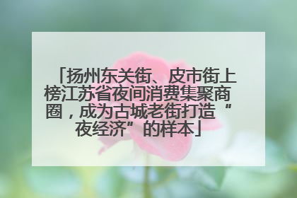 扬州东关街、皮市街上榜江苏省夜间消费集聚商圈，成为古城老街打造“夜经济”的样本