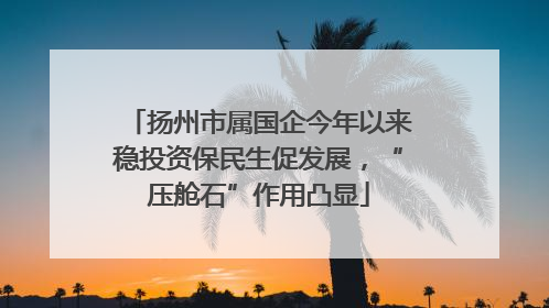 扬州市属国企今年以来稳投资保民生促发展，“压舱石”作用凸显