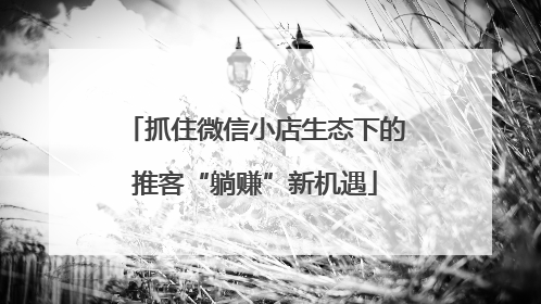 抓住微信小店生态下的推客“躺赚”新机遇