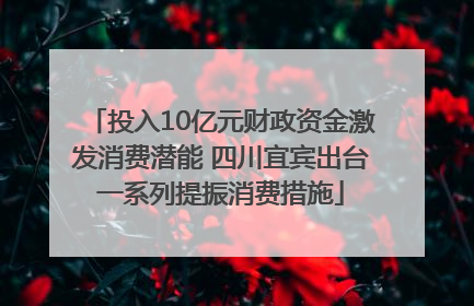 投入10亿元财政资金激发消费潜能 四川宜宾出台一系列提振消费措施