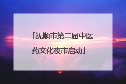 抚顺市第二届中医药文化夜市启动