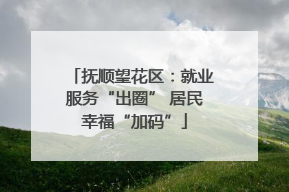 抚顺望花区：就业服务“出圈” 居民幸福“加码”