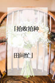 抢收抢种田间忙