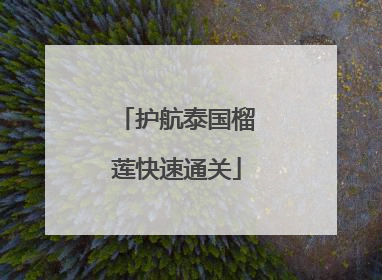 护航泰国榴莲快速通关