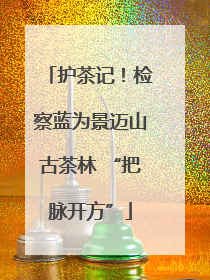 护茶记！检察蓝为景迈山古茶林 “把脉开方”