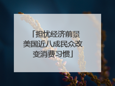 担忧经济前景 美国近八成民众改变消费习惯