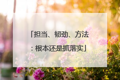 担当、韧劲、方法：根本还是抓落实