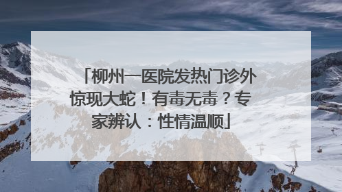 柳州一医院发热门诊外惊现大蛇！有毒无毒？专家辨认：性情温顺