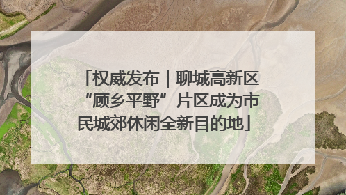 权威发布｜聊城高新区“顾乡平野”片区成为市民城郊休闲全新目的地