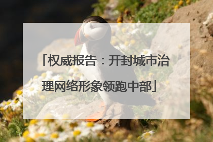 权威报告：开封城市治理网络形象领跑中部