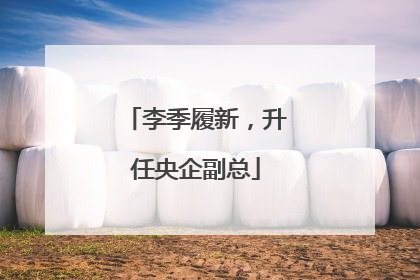 李季履新，升任央企副总