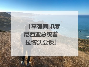 李强同印度尼西亚总统普拉博沃会谈
