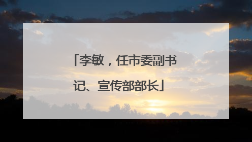李敏，任市委副书记、宣传部部长