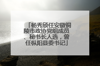 杨秀颀任安徽铜陵市政协党组成员、秘书长人选，曾任枞阳县委书记