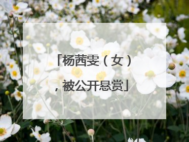 杨茜雯（女），被公开悬赏