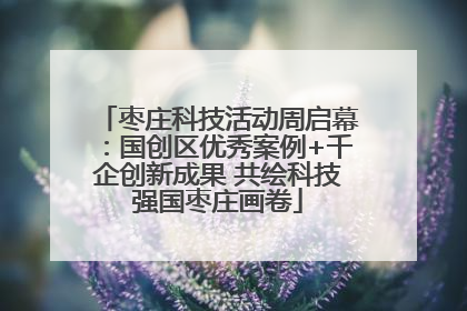 枣庄科技活动周启幕：国创区优秀案例+千企创新成果 共绘科技强国枣庄画卷