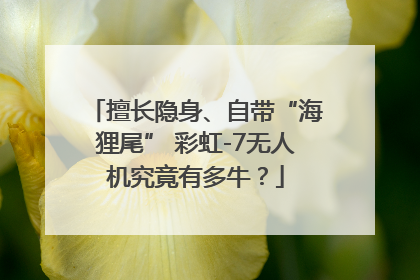 擅长隐身、自带“海狸尾” 彩虹-7无人机究竟有多牛？