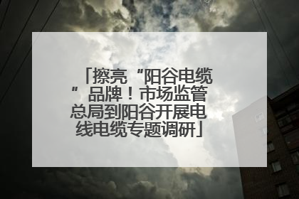 擦亮“阳谷电缆”品牌！市场监管总局到阳谷开展电线电缆专题调研