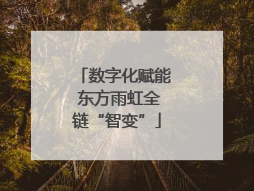 数字化赋能 东方雨虹全链“智变”