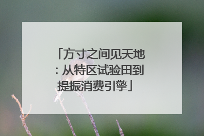 方寸之间见天地：从特区试验田到提振消费引擎