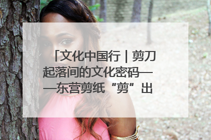 文化中国行｜剪刀起落间的文化密码——东营剪纸“剪”出非遗传承与现代生活的融合之道
