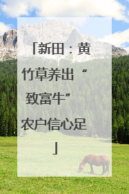 新田：黄竹草养出“致富牛” 农户信心足
