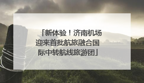 新体验！济南机场迎来首批航旅融合国际中转航线旅游团