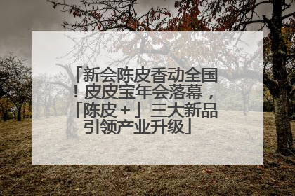 新会陈皮香动全国！皮皮宝年会落幕，「陈皮＋」三大新品引领产业升级