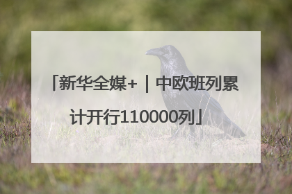 新华全媒+｜中欧班列累计开行110000列