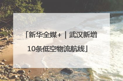 新华全媒+｜武汉新增10条低空物流航线