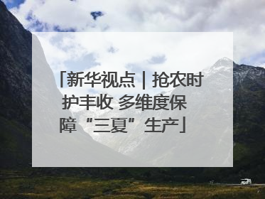 新华视点｜抢农时 护丰收 多维度保障“三夏”生产