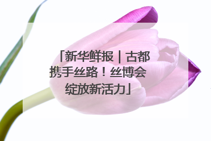 新华鲜报｜古都携手丝路！丝博会绽放新活力