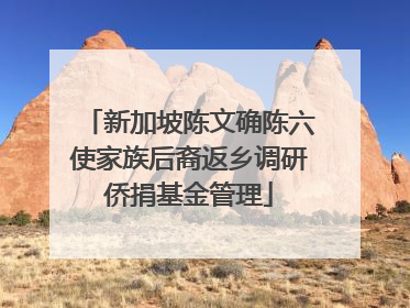 新加坡陈文确陈六使家族后裔返乡调研侨捐基金管理