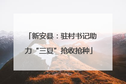 新安县：驻村书记助力“三夏”抢收抢种