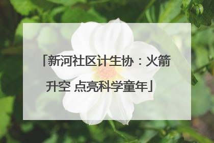 新河社区计生协：火箭升空 点亮科学童年