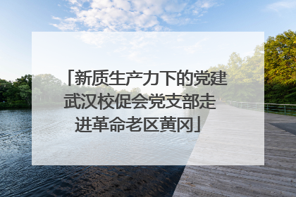 新质生产力下的党建 武汉校促会党支部走进革命老区黄冈