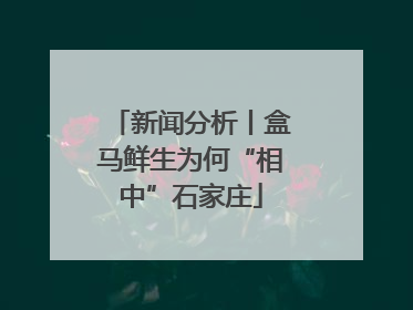 新闻分析丨盒马鲜生为何“相中”石家庄