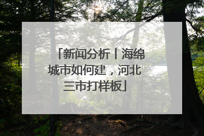 新闻分析丨海绵城市如何建，河北三市打样板