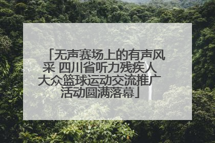 无声赛场上的有声风采 四川省听力残疾人大众篮球运动交流推广活动圆满落幕