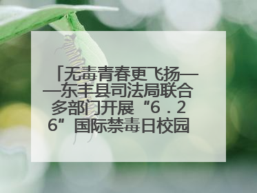 无毒青春更飞扬——东丰县司法局联合多部门开展“6．26”国际禁毒日校园宣讲活动