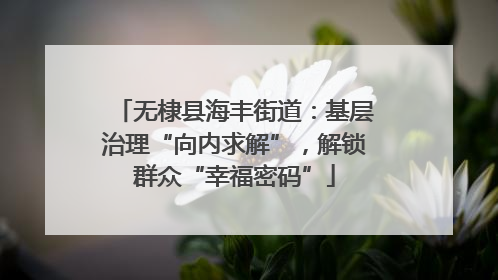 无棣县海丰街道：基层治理“向内求解”，解锁群众“幸福密码”