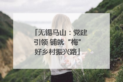 无锡马山：党建引领 铺就“梅”好乡村振兴路