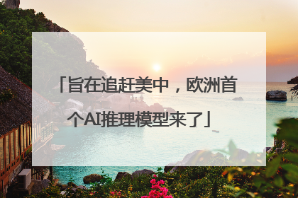 旨在追赶美中，欧洲首个AI推理模型来了
