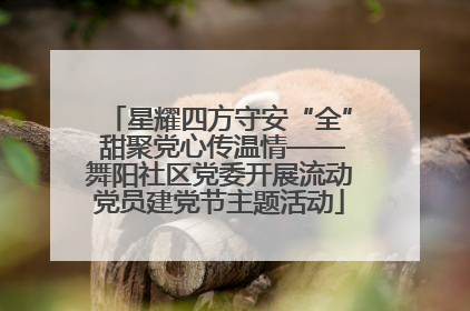 星耀四方守安“全” 甜聚党心传温情——舞阳社区党委开展流动党员建党节主题活动
