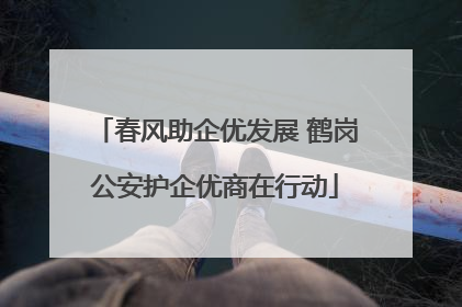 春风助企优发展 鹤岗公安护企优商在行动