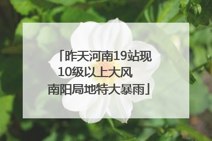 昨天河南19站现10级以上大风  南阳局地特大暴雨