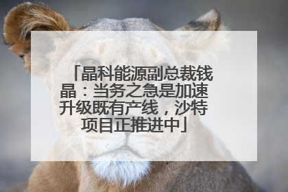 晶科能源副总裁钱晶：当务之急是加速升级既有产线，沙特项目正推进中