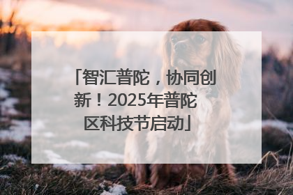 智汇普陀，协同创新！2025年普陀区科技节启动